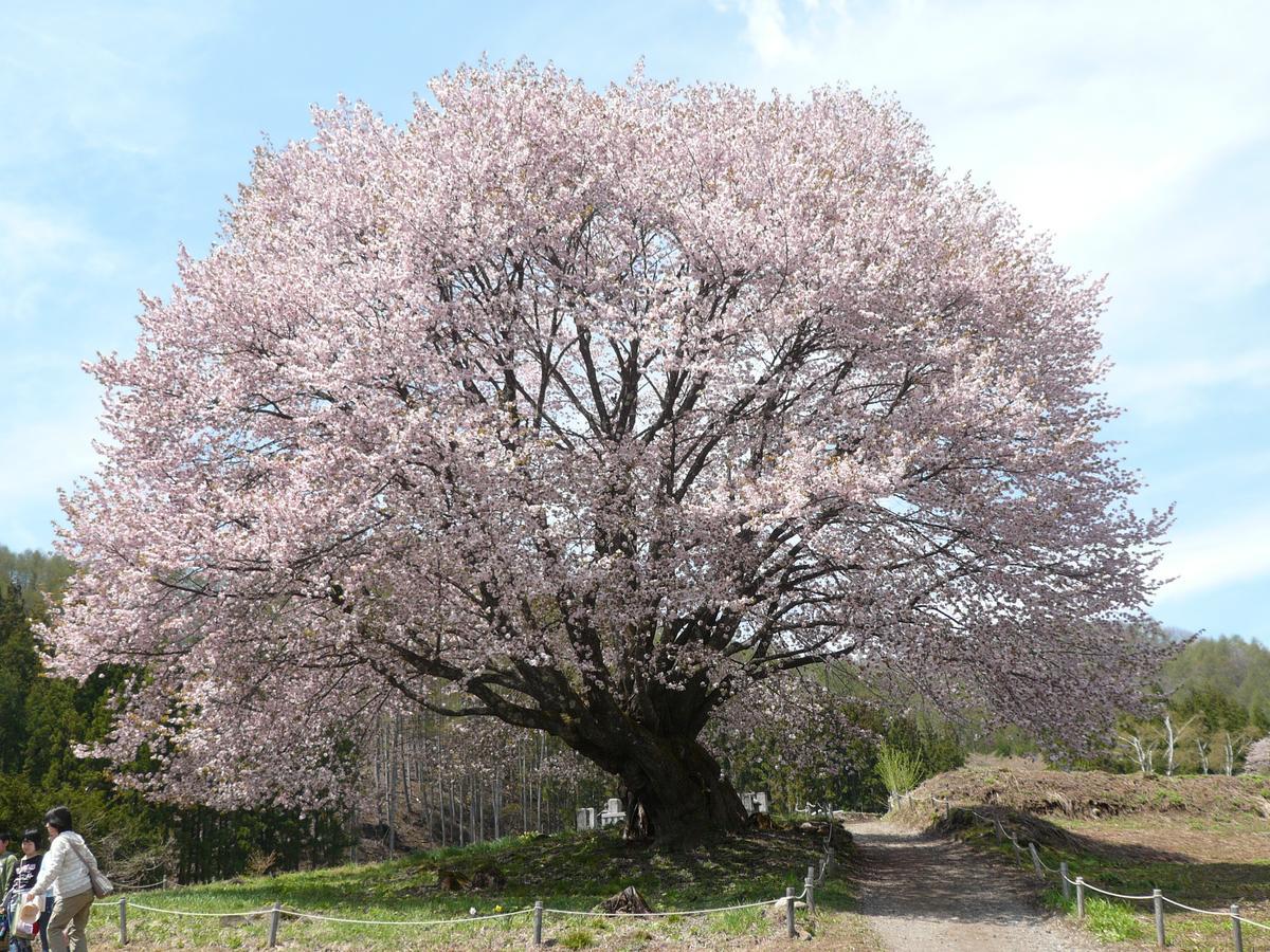 Pension La Palette Katashina Экстерьер фото